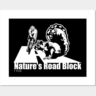 Nature's Road Block Posters and Art